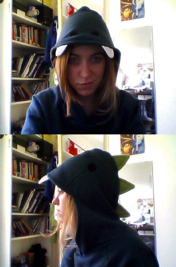 Dino hoddie
