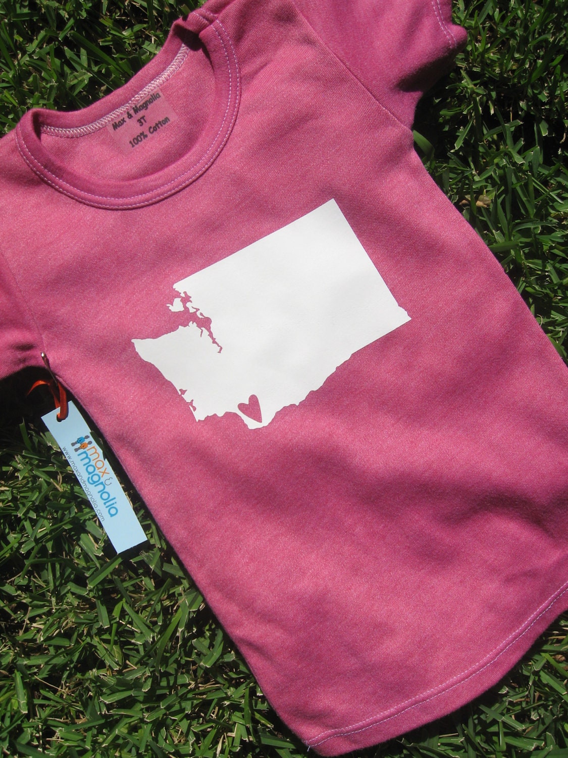 State Pride Onesie- vinyl