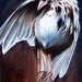 Damnation - Open Edition fine art print
