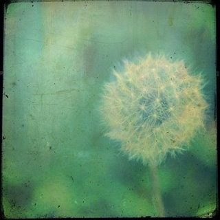 Wish or Regret 8x8 Print