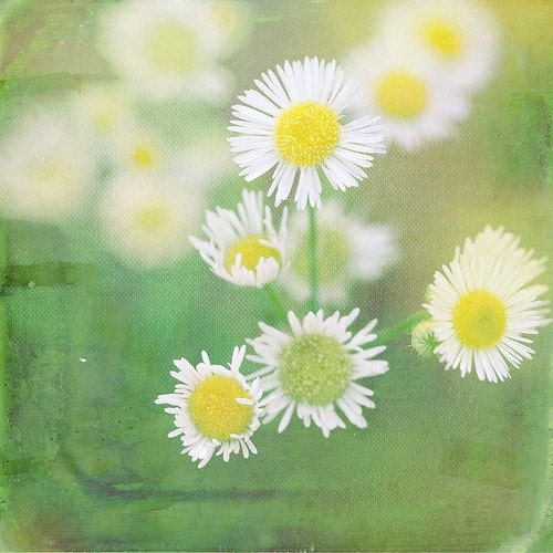 Different Parts of Me 6x6 Print