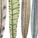 Fanciful Feather Collection No. 10 original fine art watercolor painting
