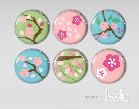 Fridge Magnet Gift Set - Set of 6 Refrigerator Magnets - PRETTY BLOSSOMS
