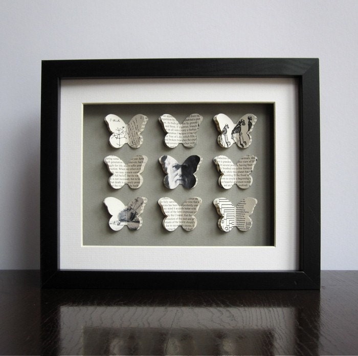 Darwin. Origin of Species. Butterfly Framed art
