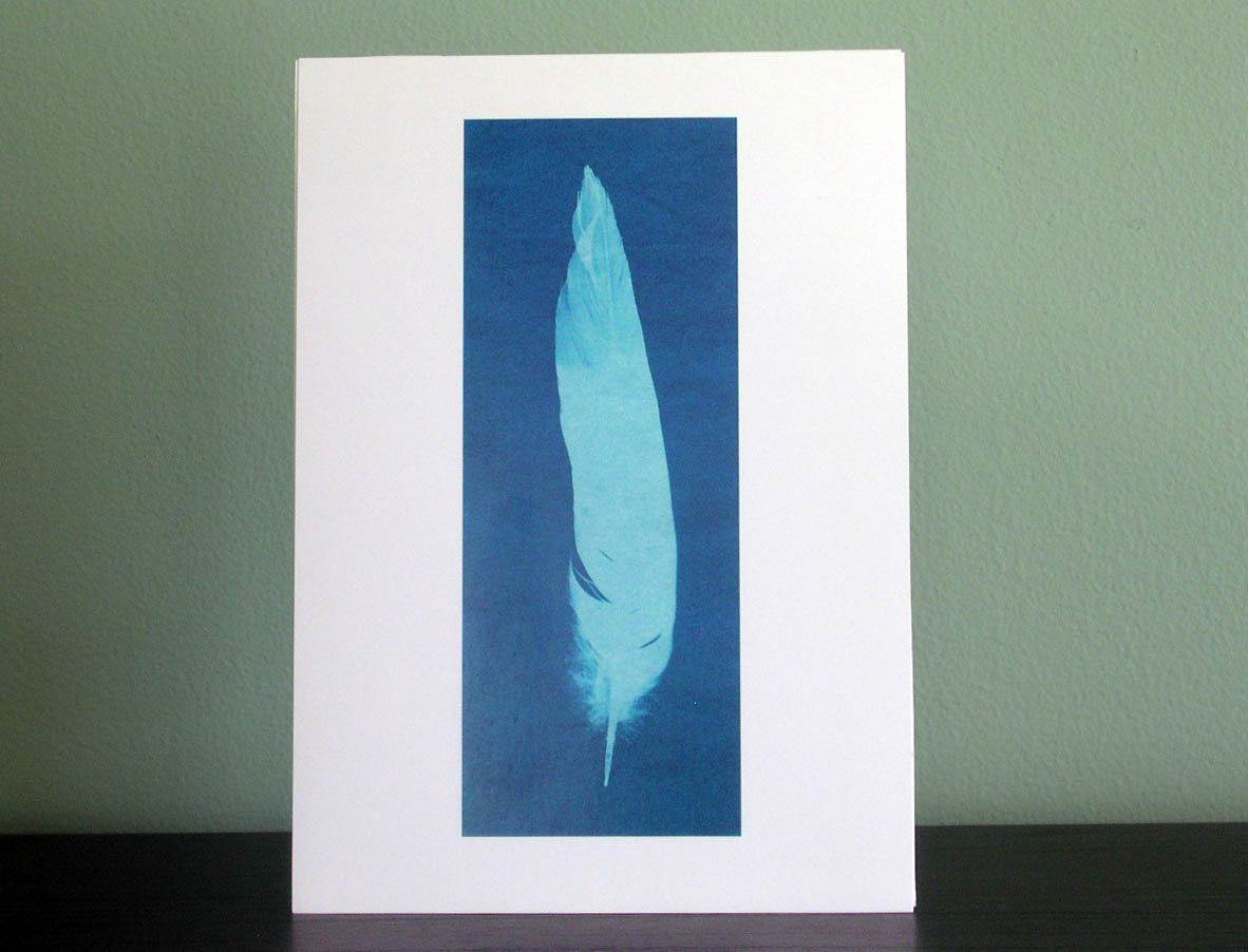 Feather- Cyanotype 5 x 7 Giclee Print
