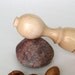 Garden Dibble (Maple)