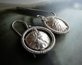 Roundness  -   sterling silver hoop earrings