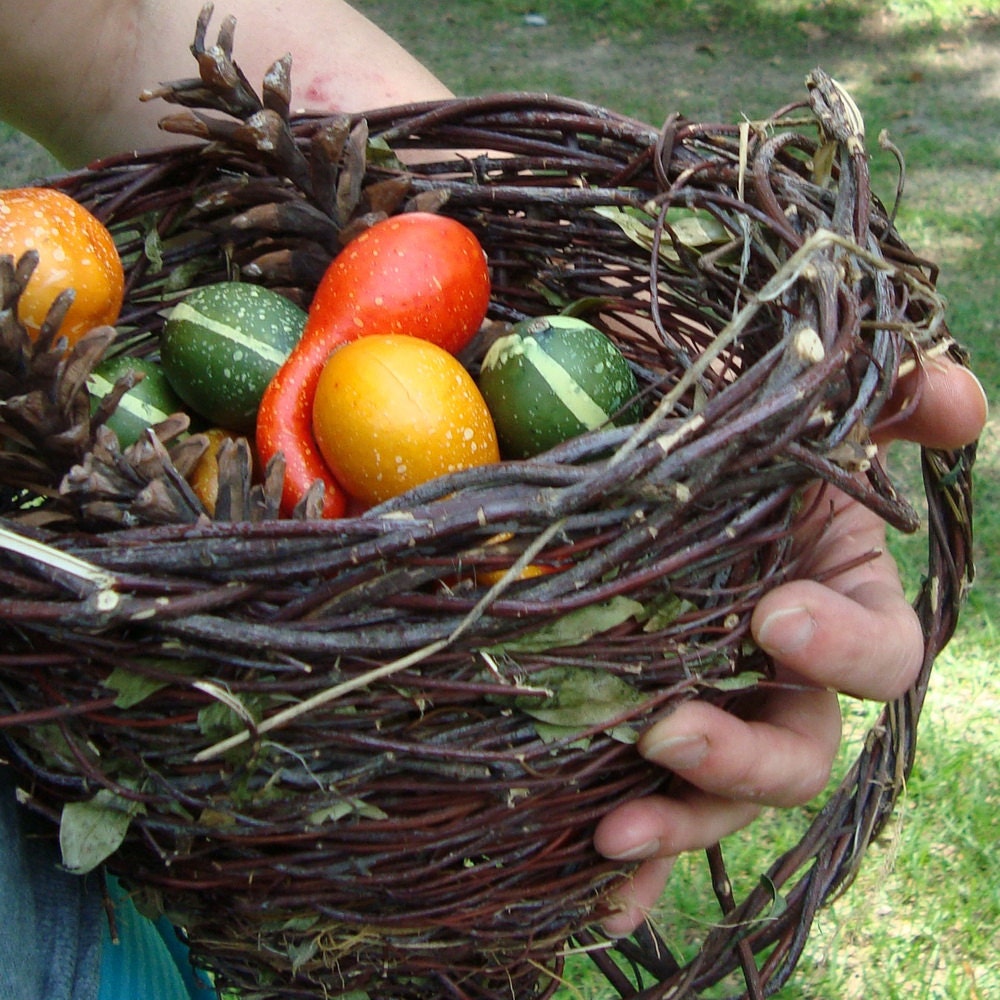Harvest Wedding Bridesmaid's Cornucopia or Table Centerpiece Jasmine Eco Thanksgiving Table