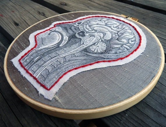 Anatomical Embroidery Hoop Anatomy Geekery Medical Diagram Fiber Art Human Head Gray Red