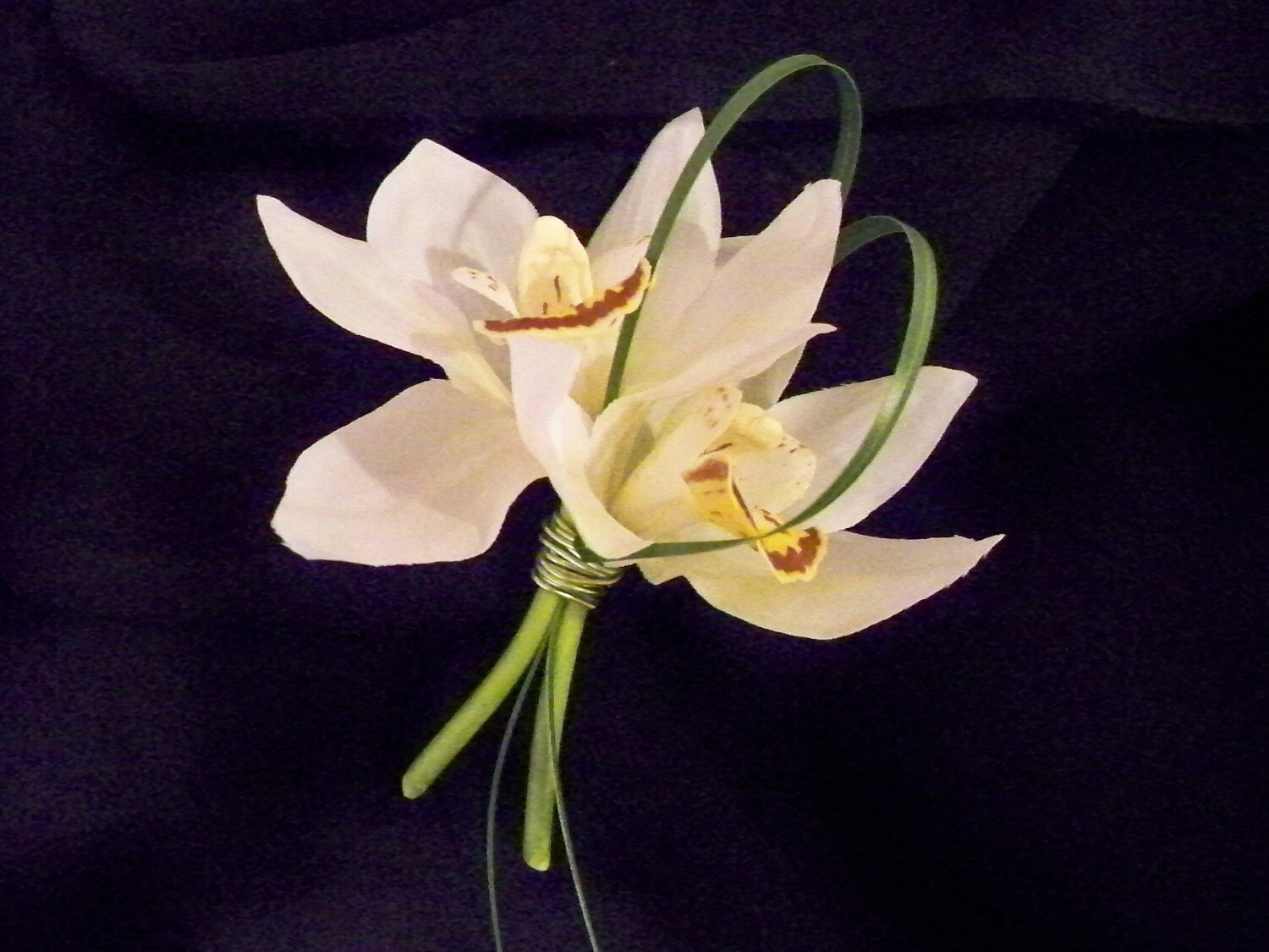 Cymbidium Orchid Boutonniere
