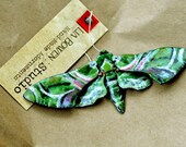 Specimen No. 12 - Oleander Hawk Moth - Hand Enameled Pendant / Pin