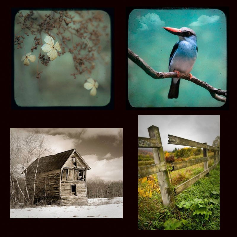 Print Set SPECIAL- Any four 5x7 or 5x5 prints, signed and dated.