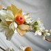 mirth - an autumn foliage head wreath