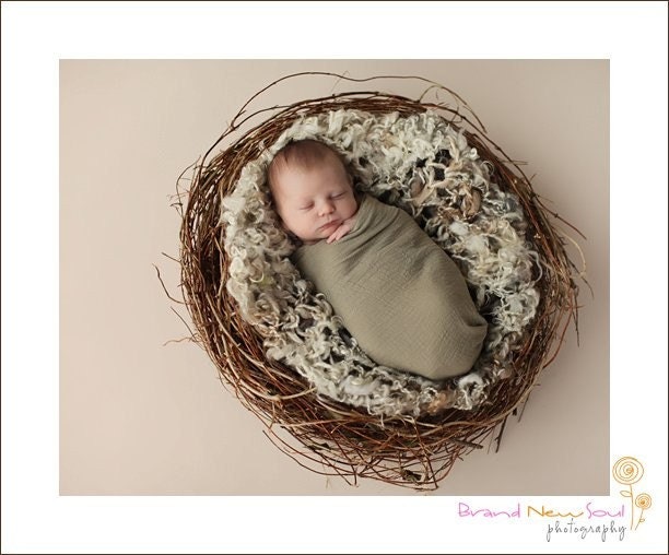 Large Twig and Vine Realistic Birds Nest Photo Prop