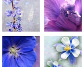 Photo Set -Flower Photography -Gift for Her -Purple and Blue -Square Print -Set of 4 Fine Art Photographs -5x5 Prints