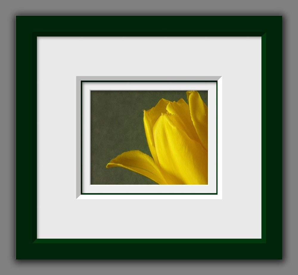 Tulip Flower Photography -8x10 Print -Yellow and Green -Spring Flowers -Gifts for Mom -Home Decor Art -Colorado Photography