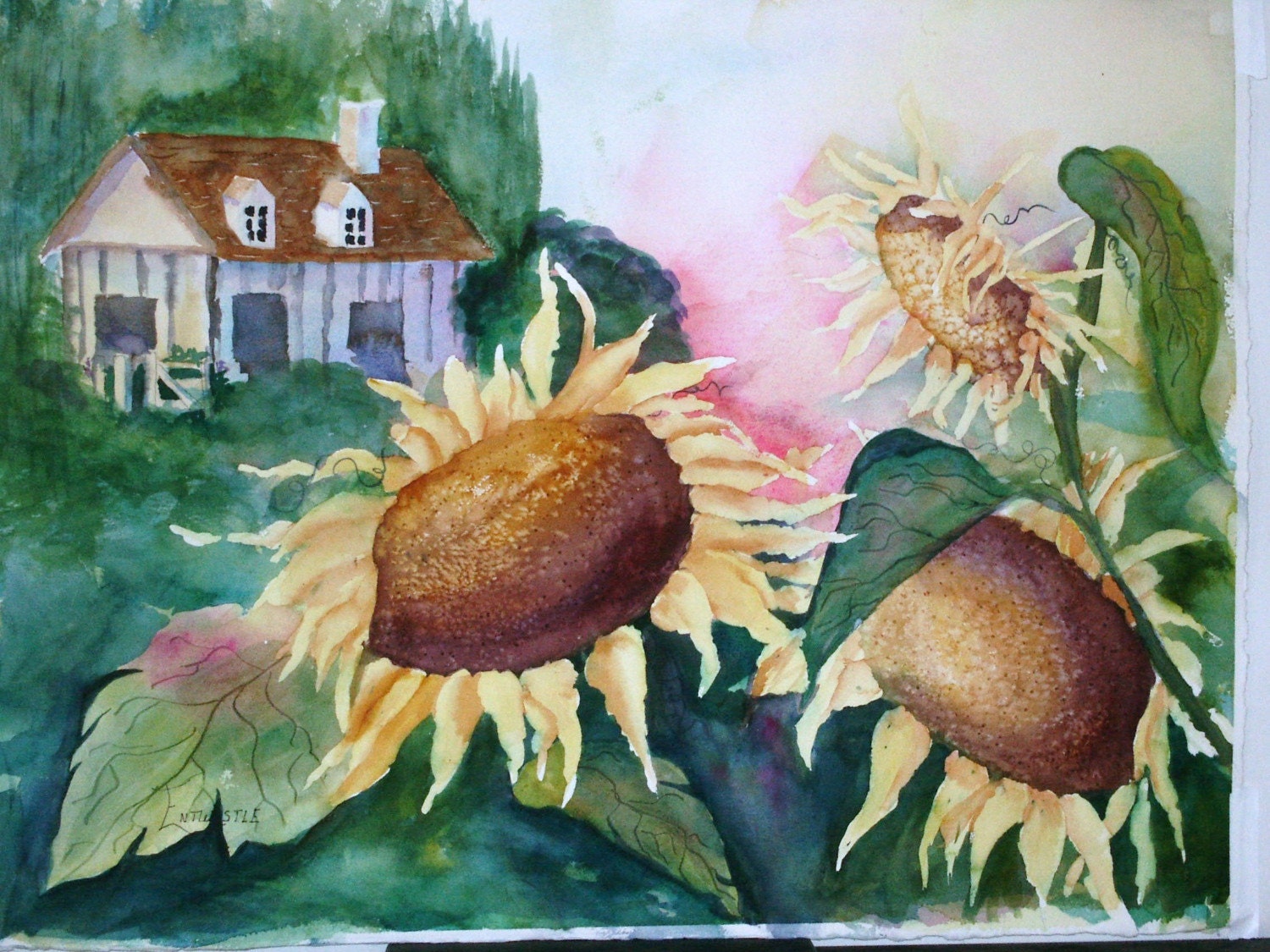 Sunflowers 11X14 Print