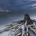 After the Storm