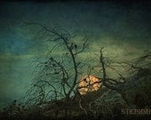 Blue Moon, 8x5.5 inches fine art photograph