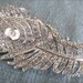 Sparkling Peacock Bridal Crystal Hair Brooch