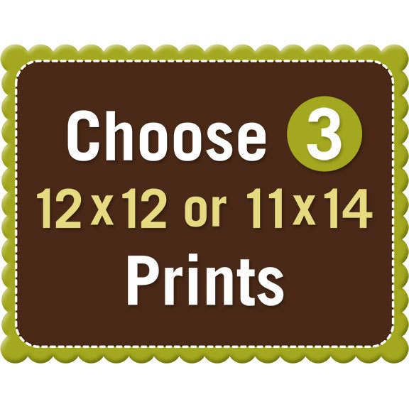 Three 12x12 or 11x14 Prints