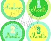 PRINTABLE DIGITAL FILE Baby Boys First Year Shirt Decals Stickers (month to month) Il_170x135