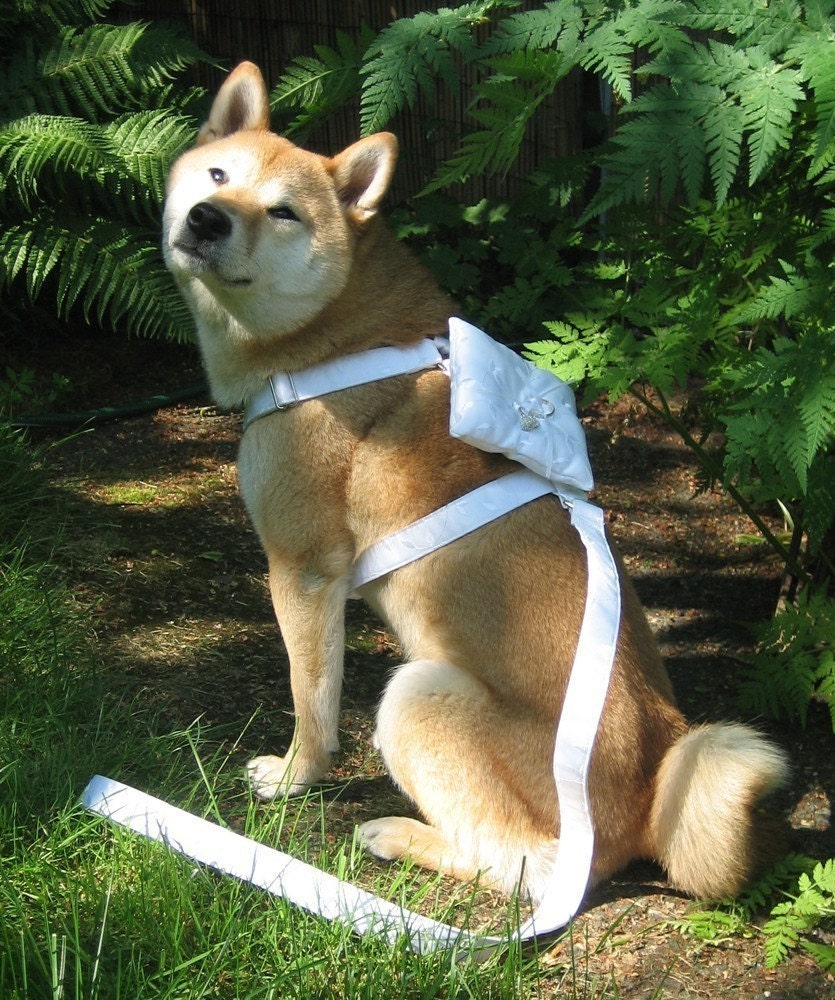 Ring Bearer Wedding Harness for medium sized dogs