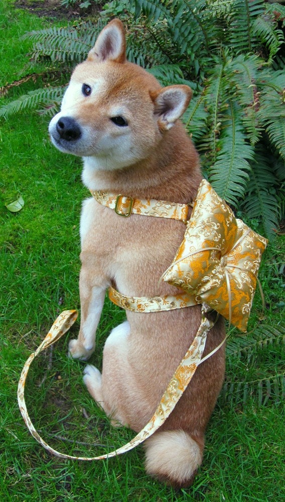 Ring Bearer Wedding Harness for X-large or large sized dogs, your choice from 24 silk brocade patterns