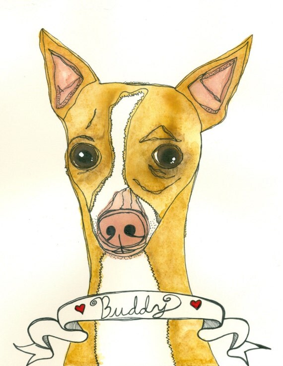 Custom Pet Portrait Original Illustration 8x10