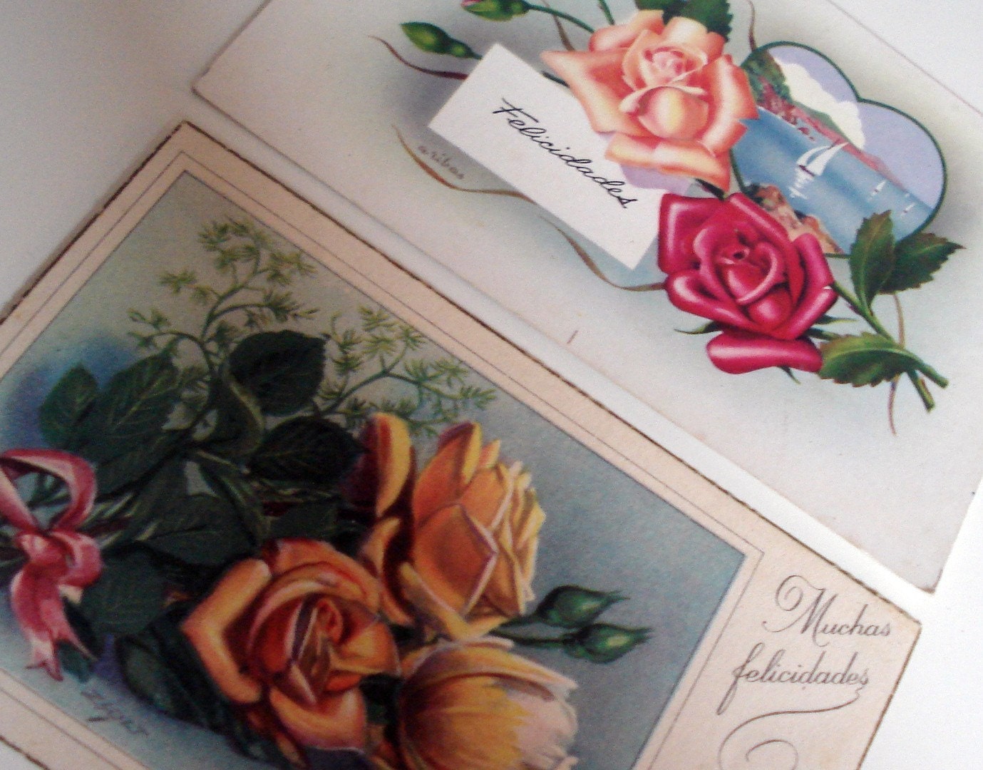 FOUND IN SPAIN -- two vintage postcards, both featuring roses
