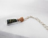 Real Butterfly Wing, Butterfly Study Glass Bottle Specimen Callithea philotima from peru