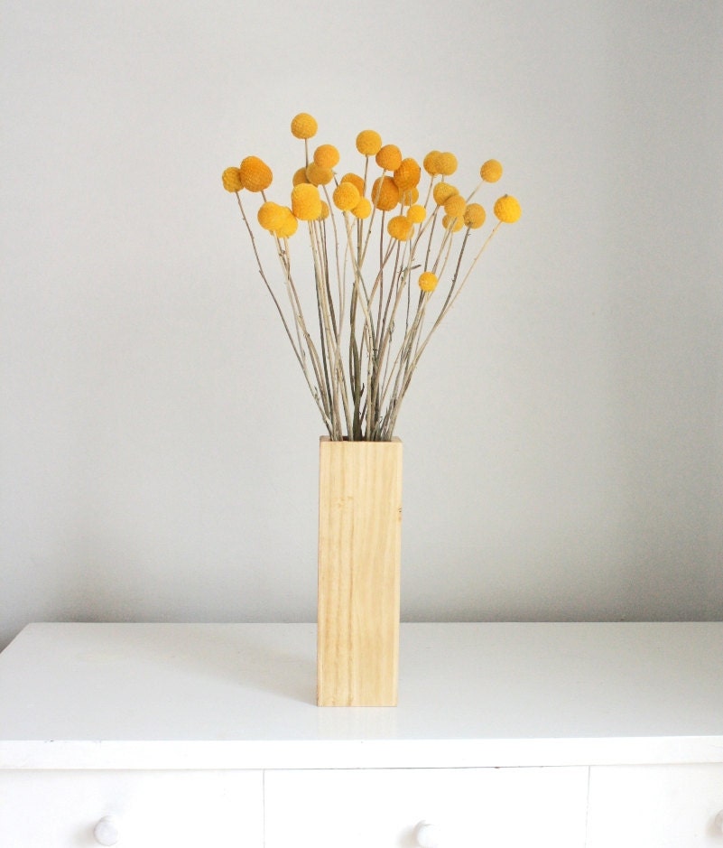 craspedia in blonde wood