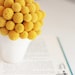 bitty billy-   dried flower arrangement of crapsedia, billy buttons