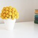 bitty billy-   dried flower arrangement of crapsedia, billy buttons