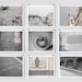 Paris Photography Collection, Gray - French Fine Art Photography Art Prints- Paris Decor, Large Wall Art, Home Decor, Modern Wall Decor