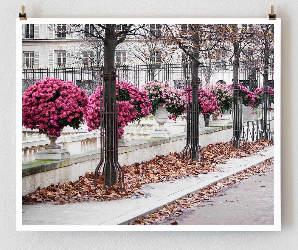 Paris Photography, Luxembourg Garden, 16x20 French Photograph, Large Art Prints, Paris Decor, Wall Art, Pink Home Decor