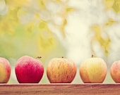 Teacher Apple Gift - 11x14 Fine Art Food Photography Print - yellow, red, brown Fall and Autumn fruit home and kitchen decor photo