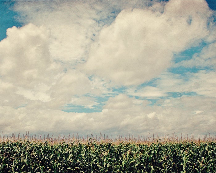 Field of Dreams - 16x20 Fine Art Photography Print - Kansas country corn field and cloud filled sky
