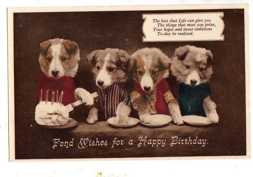 Birthday Puppies Pictures