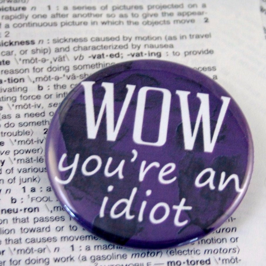 WOW you're an idiot Pinback Button