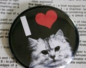 I heart Pussy Pinback Button