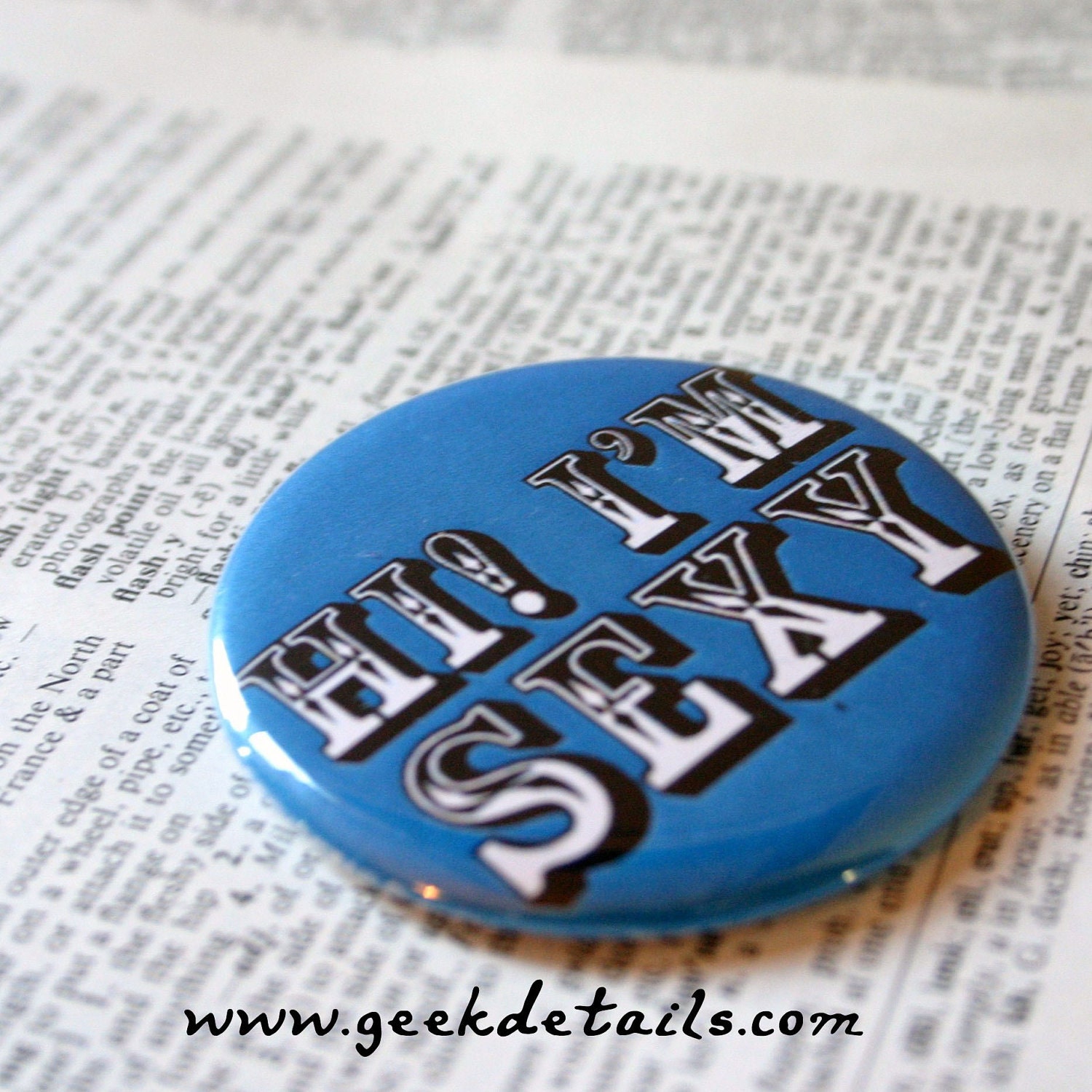 Hi I'm SEXY  Dr. Who Themed Pinback Button