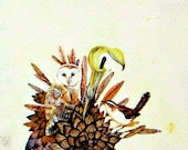 Woodland Decor - Flora and Fauna Art - barn owl flower feather wren bird nest -  Unique home art by Sweet Mess - nature print