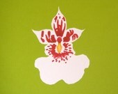 Orchid no.2 / postcard / yellow green