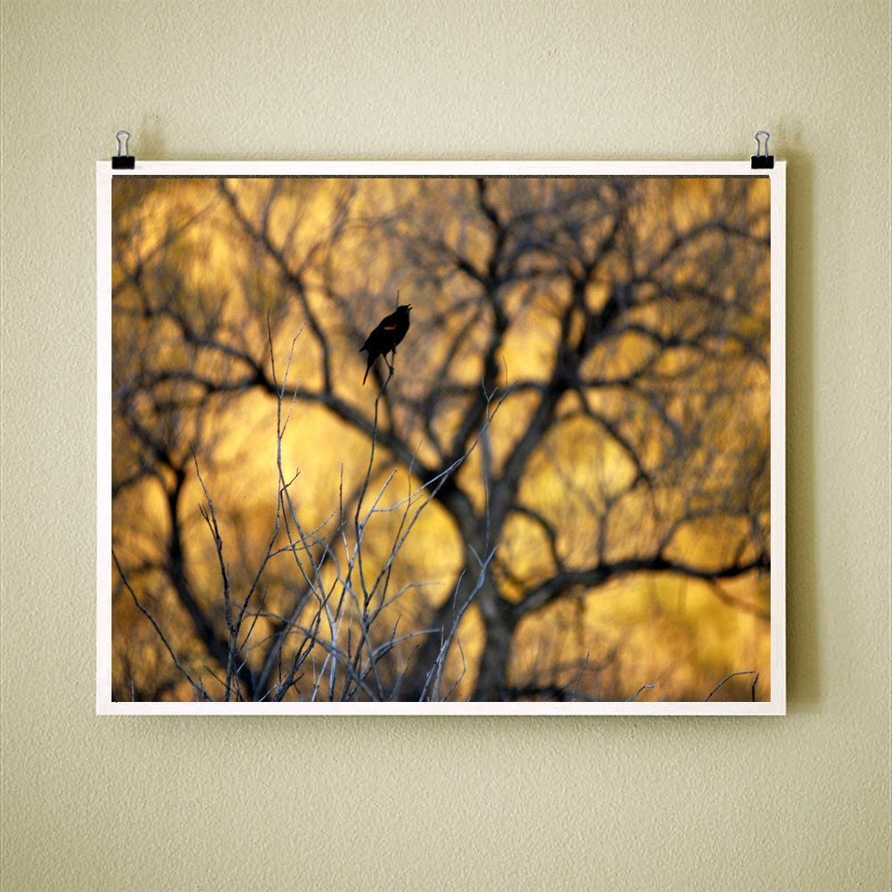 EVENING RIVER SONG - 8x10 Signed Fine Art Photograph