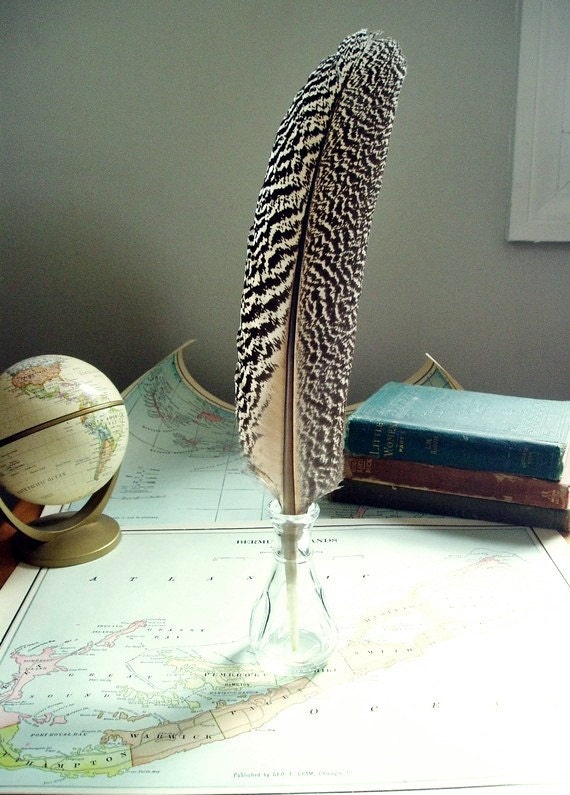 Wedding Pen Rustic Natural Quill Pen Realistic Feather Cruelty Free Modern Day Peacock