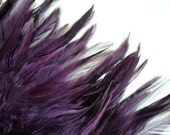 COQUE SADDLE ,  Eggplant, Dark Plum Purple / 127