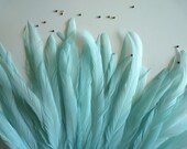 COQUE TAIL FEATHERS Loose / Tiffany Aqua Blue / 213 - KIMONOSFeathers