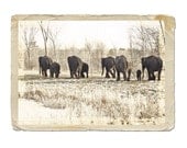 Elephant Photograph Safari Elephants -Animal Asian Wildlife Fine Art Nature Travel Vintage Style Sepia