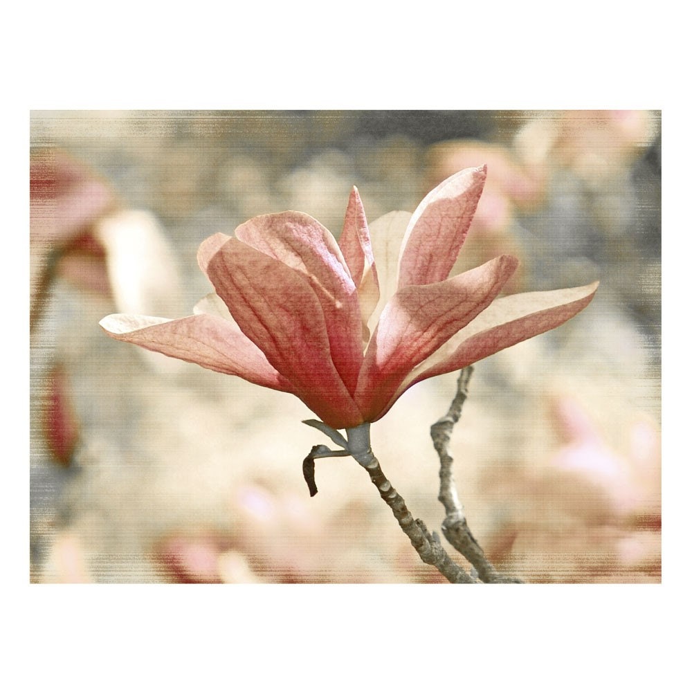 Pink Flower Photograph Vintage Magnolia  -Fine Art Floral Gray Girly Dreamy Nature Garden Print